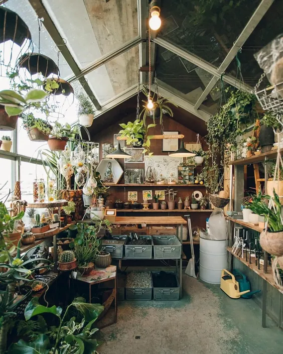 30 مورد از بهترین فروشگاه های گیاهان در سراسر جهان