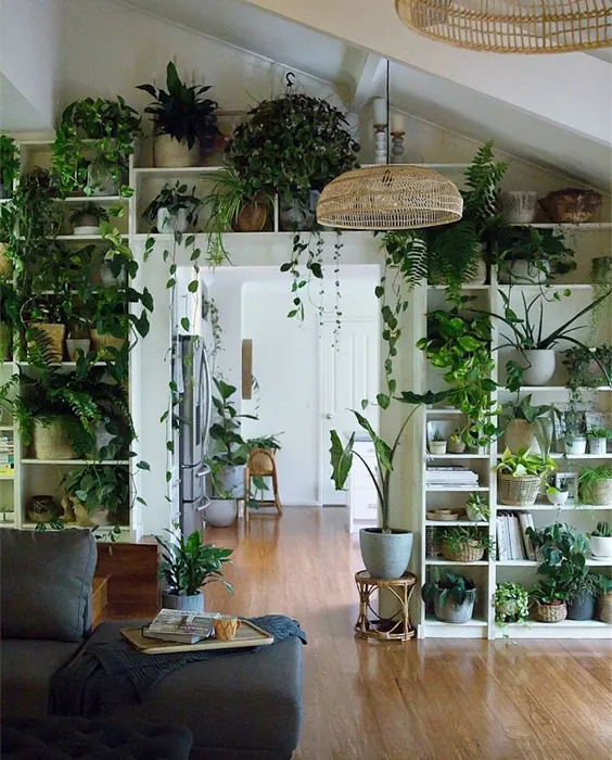 Garden-spiration: نکاتی درباره جنگل شهری برای فضای کوچک شما - وبلاگ Windowbox.com
