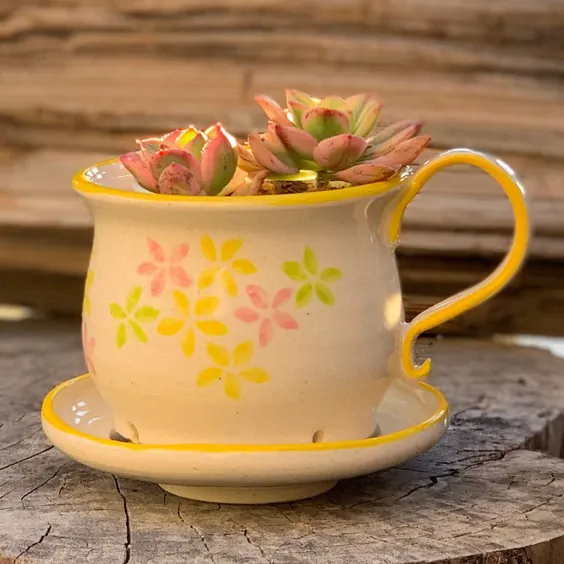 گلدان های فنجان چای گل |  اتسی