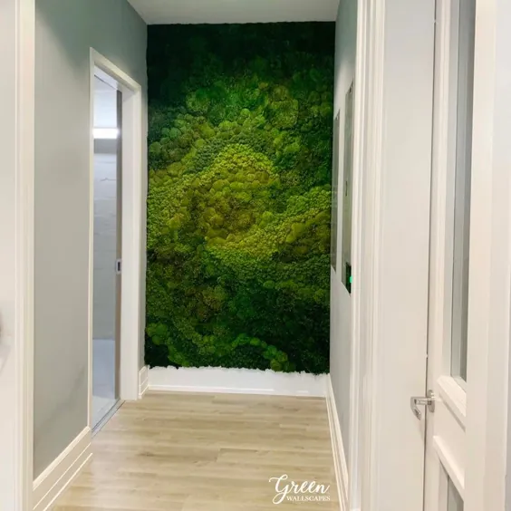 باغچه های عمودی خزه ماس وال هنرهای محافظت شده Moss Wall Art |  اتسی