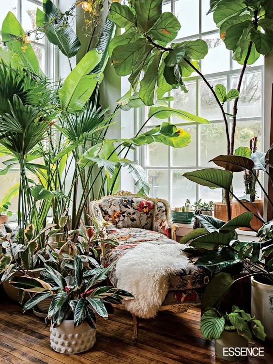 Plant Stylist Hilton Carter خانه هایی ایجاد می کند که شما را با حسادت سرسبز می کند