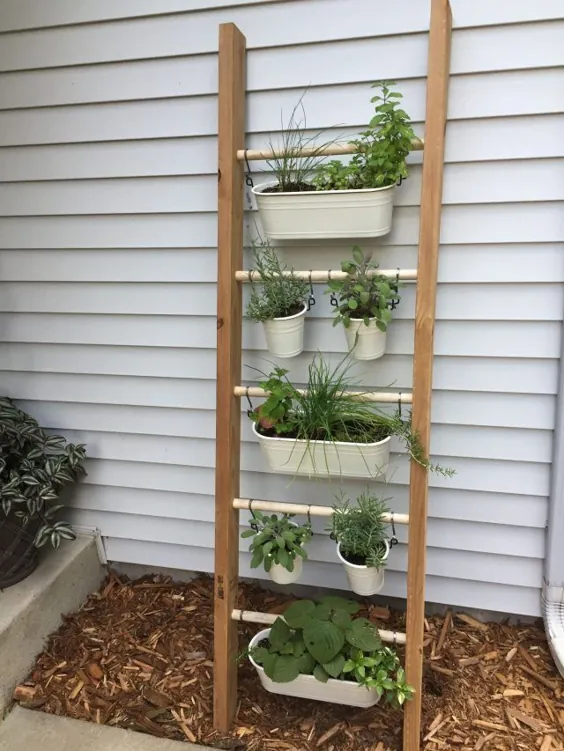 سبزیجات عمودی - ایده های منحصر به فرد DIY برای هر فضا - باغ مبتدیان