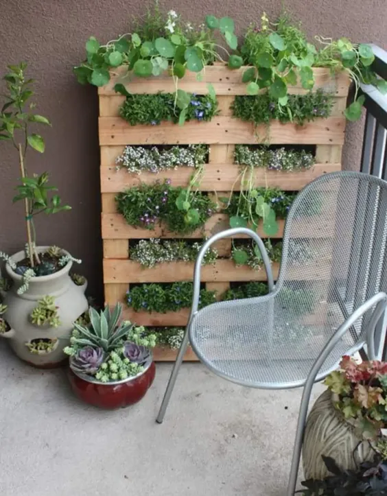 باغ پالت فضای کوچک DIY