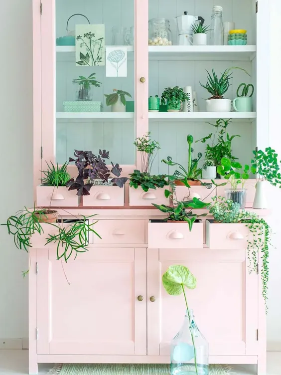 # PlantLovers، la adicción a las plantas llega a tu casa