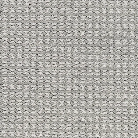 STAINMASTER PetProtect Secret Dream Electra Pattern فرش نمونه (داخلی) در خاکستری |  6628-107S