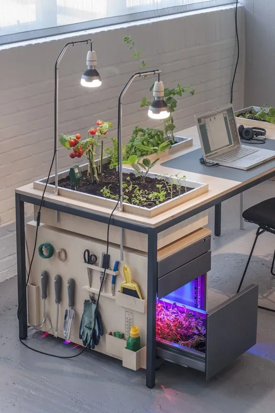 Amazing Desk-Planter-Lamp: Desktoop Vegetal Desk Lamp - چراغ های iD