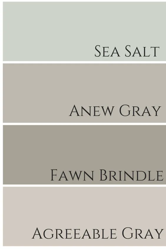 Agreeable Grey توسط شروین ویلیامز نقد و بررسی رنگ - کلر جفورد