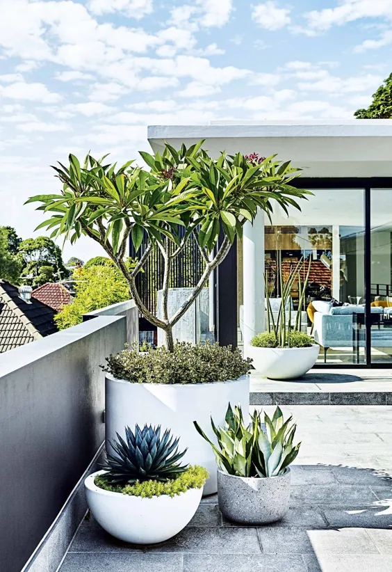 باغ پشت بام: 10 ایده الهام بخش تراس روی پشت بام