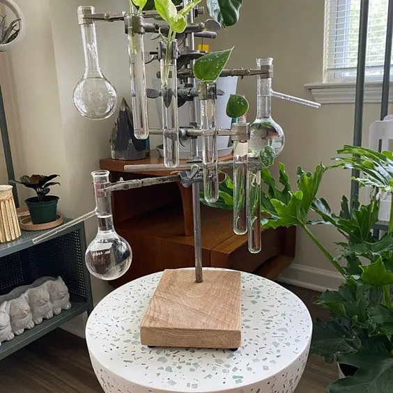 پایه بزرگ آزمایشگاهی سبک صنعتی پایه گیاهی با گلدان آزمایشگاهی شیشه بلند / گلدان مدرن / صفحه نمایش مدرن / گیاهی 25 "تعداد RTS