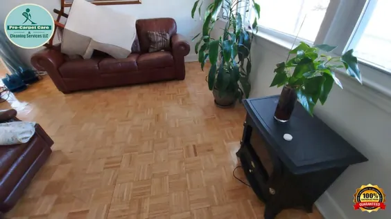 چگونه با خدمات مراقبت و تمیز کردن Pro-Carpet ، کف چوب خود را تمیز کنیم