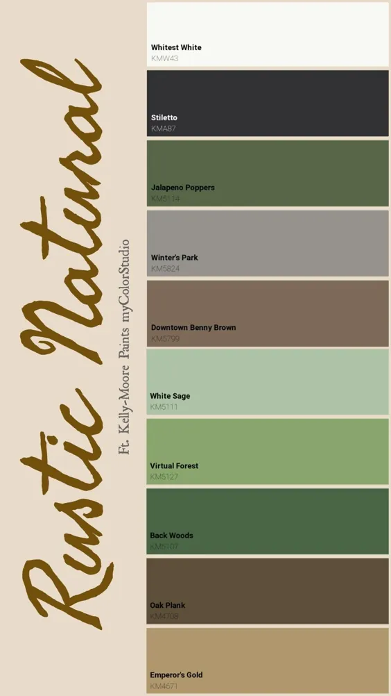 Rustic Natural Theme Palette Color