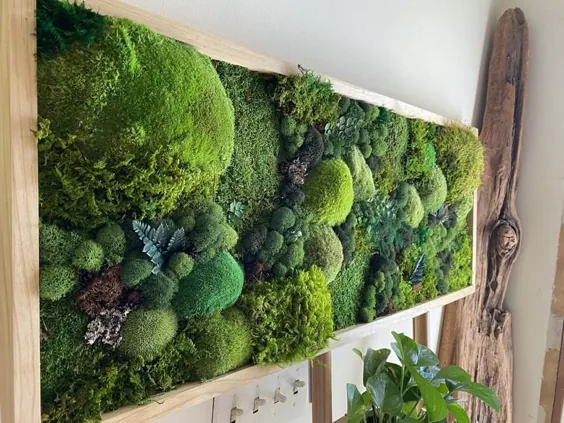 Moss Wall Art Moss Art Work Moss Art هنر ماس را حفظ کرد.  |  اتسی