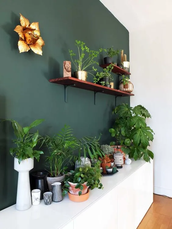 یک آپارتمان کوچک پاریسی که با گیاهان دارویی سرشار است ، شما را از حسادت سرسبز می کند