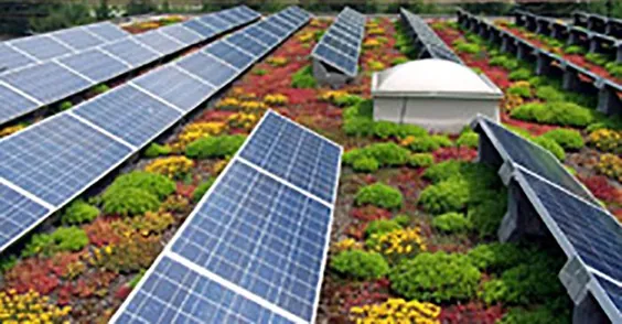زندگی در پشت بام های سبز یا پنل های خورشیدی اکنون "قانون زمین" در فرانسه است