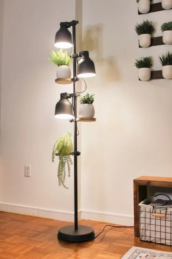 والدین گیاهان از این پایه گیاهان 3 ردیف با نور بسیار دوست دارند - IKEA Hackers