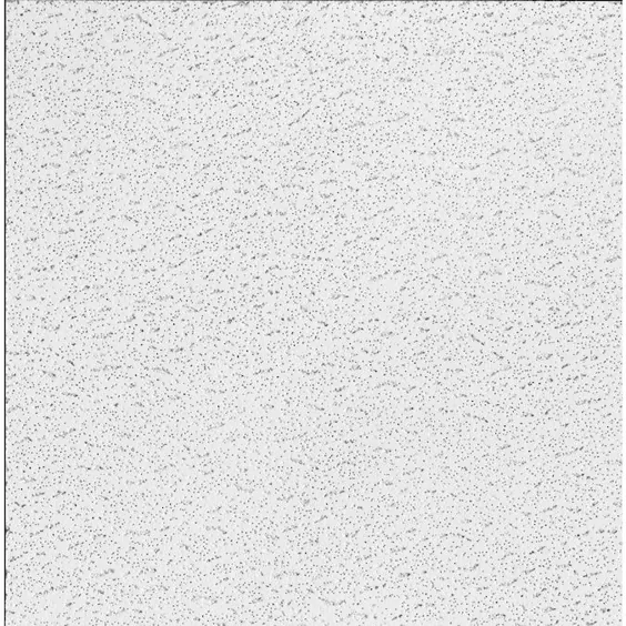 سقف های آرمسترانگ 24 در x 24 در ساخت پیمانکار 16 بسته سفید شکافدار 15/16-در Drop آکوستیک پانل های سقفی کاشی Lowes.com
