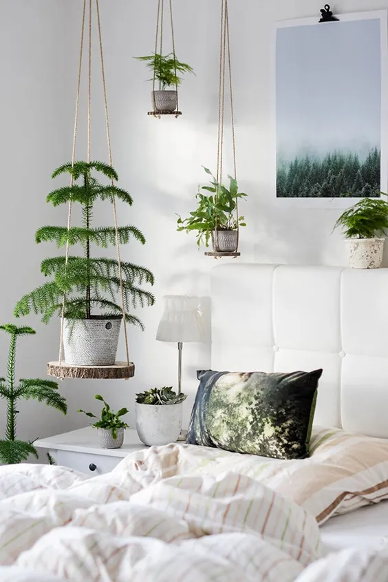 DIY Hängeregale - سوراخی که برای شما در نظر گرفته شده است Jungle Urban Haus - خانه و گیاهان