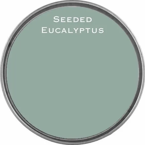 Seeded Eucalyptus Pastel Blue-Green Wow Owl One Hour One Mall |  اتسی
