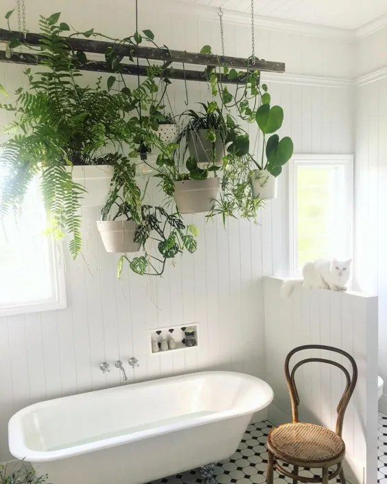 گیاهان حمام روند جدیدی است که برای امسال مورد استفاده قرار می گیرد