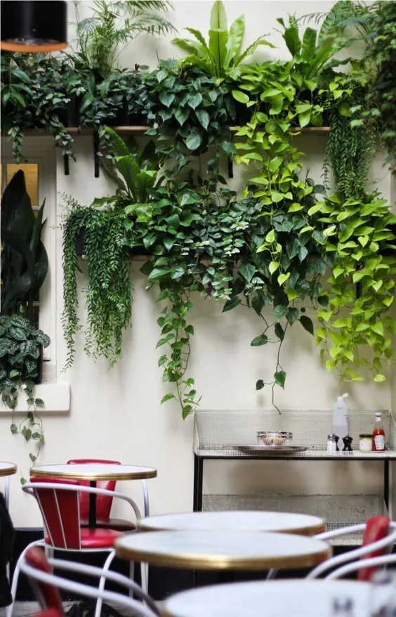 Vines Gone Wild: 10 اتاق با فضای سبز خیره کننده - Gardenista
