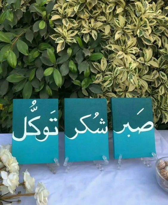 **** نمایی زیبا از نقاشی خط