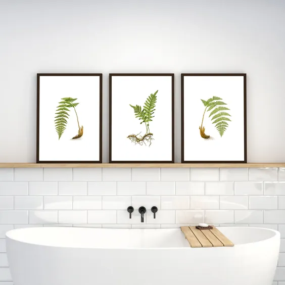 مجموعه ای از 3 تصویر Fern Illustrated Wall Wall Botanical Wall |  اتسی