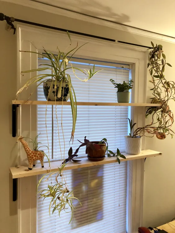 قفسه های پنجره برای گیاهان