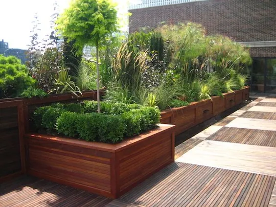 بررسی اجمالی گزینه های پشت بام سبز: انواع طراحی پشت بام سبز - گیاهان مفهومی شیکاگو