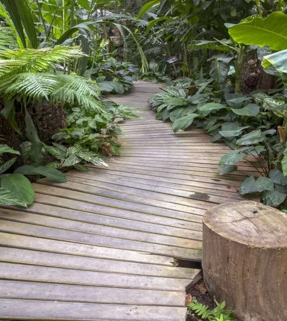 ایده های مسیر باغ: 10 راه برای ایجاد یک راهرو زیبا - باغبانی @ از خانه ای به خانه دیگر