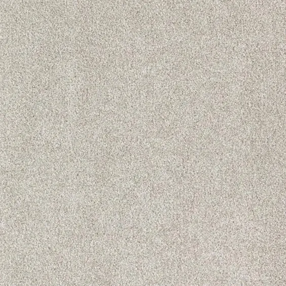 STAINMASTER Essentials Durable Step I Perfect Taupe Textured Carpet Temple (Interior) in Grey |  LW194-L006-0808