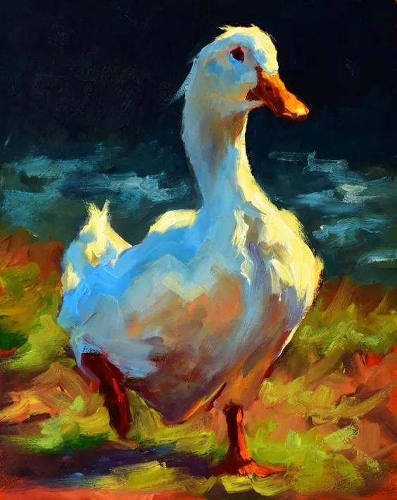 اردک سفید در شب