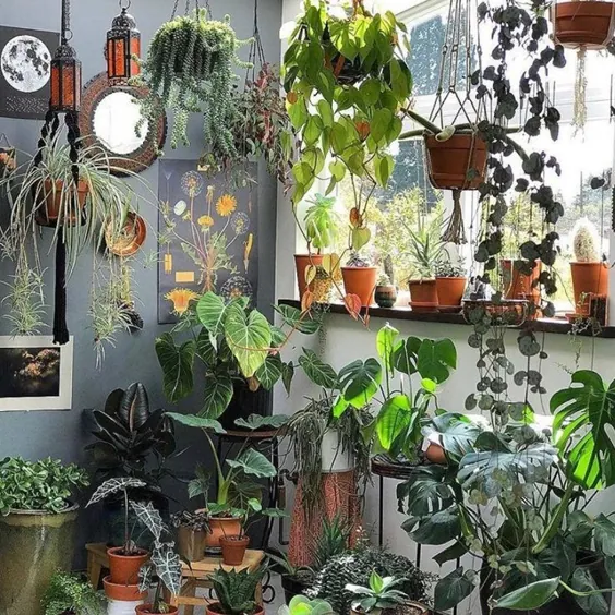 8 فروشگاه گیاهانی که باید مشاهده کنید - decor8