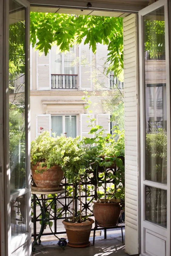 چگونه می توان مانند یک زن فرانسوی باغبانی کرد: 10 ایده برای سرقت از بالکن پاریس - Gardenista