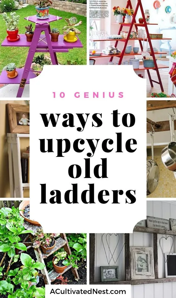 10 روش نابغه برای بالا رفتن از نردبان های قدیمی