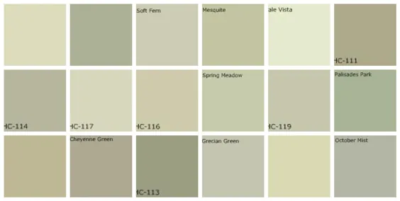 رنگ سبز خاکستری: رنگ های مورد علاقه طراحان
