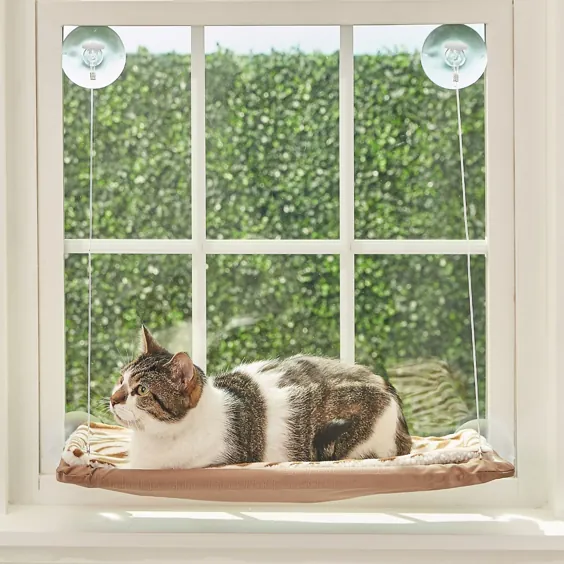 OSTER Sunny Seat Cat Window Perch، Brown - Chewy.com