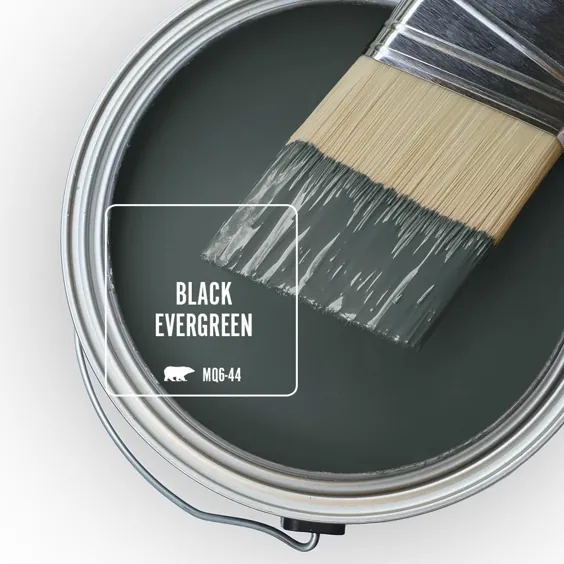 BEHR MARQUEE 1 گالری # MQ6-44 Black Evergreen One-Coate Hide Saten Enamel Paint & Primer-745301 - انبار خانه