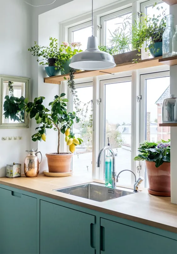 راه های خلاقانه برای افزودن گیاهان به حتی یک آشپزخانه کوچک