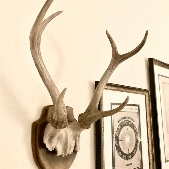 Faux Taxidermy Antler Rack Trophy Mount Wall Decor قهوه ای |  اتسی