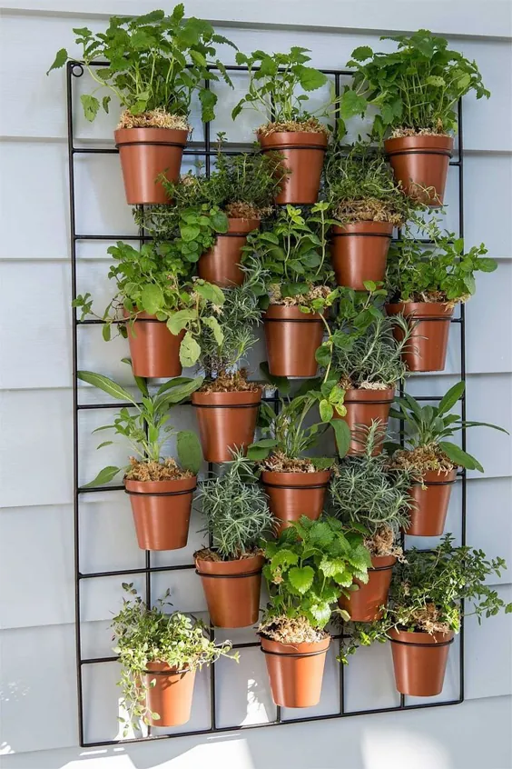 Kräuter auf dem Balkon pflanzen - Wie legt man einen Kräutergarten an؟