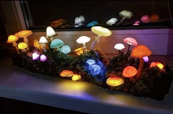 این لامپ های قارچ درخشان جادویی خالص هستند و من همه آنها را می خواهم ، لطفا