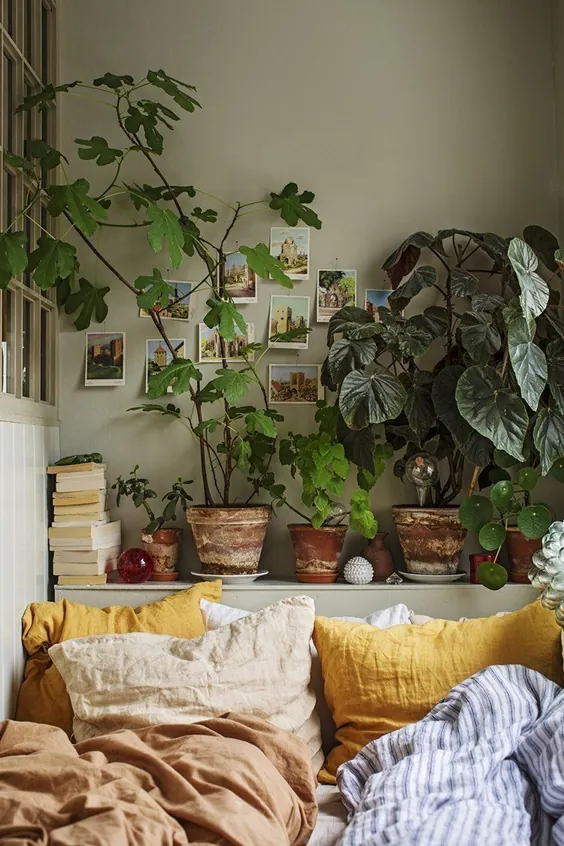Un petit appartement plein de plantes vertes et de couleurs - PLANETE DECO a home world