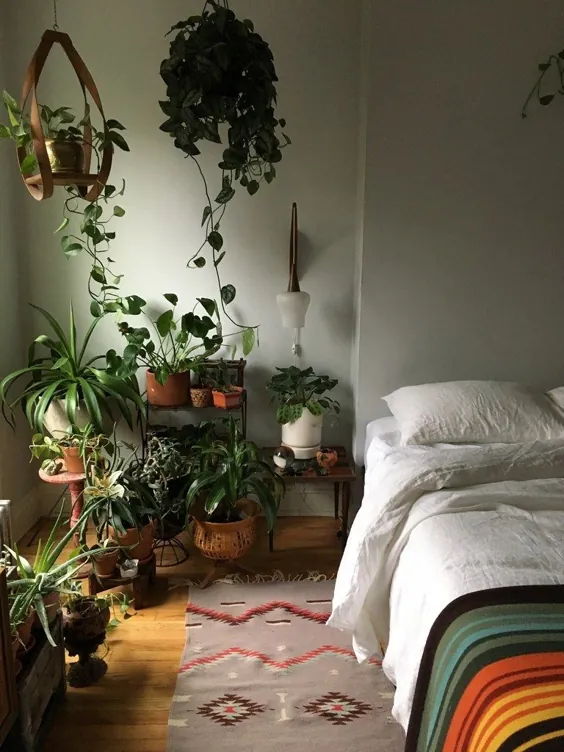 4 ترفند برای رشد گیاهان خانگی شاد در آپارتمان های تاریک