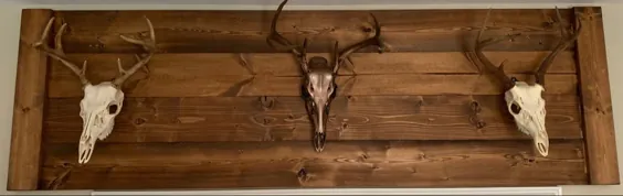 صفحه نمایش Skull Mount