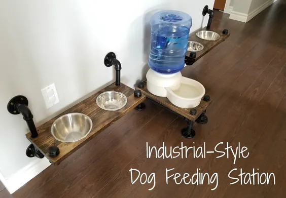 ایستگاه تغذیه سگ به سبک صنعتی