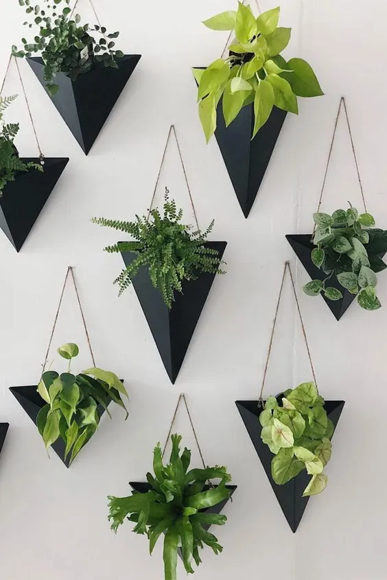 24 گلدان کاشت دیواری باورنکردنی برای طرفداران گیاهان فداکار
