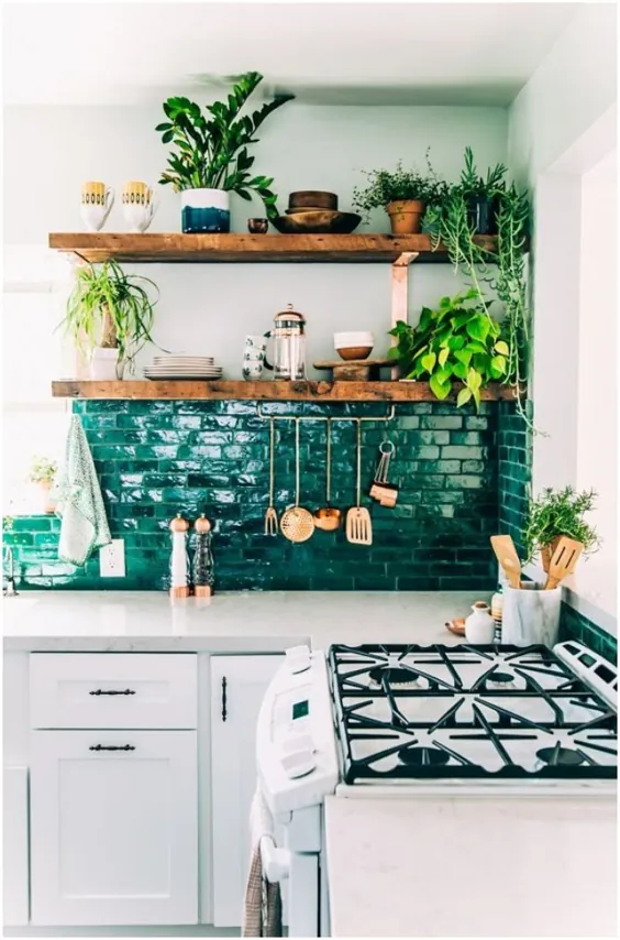 تزئین آشپزخانه با گیاهان