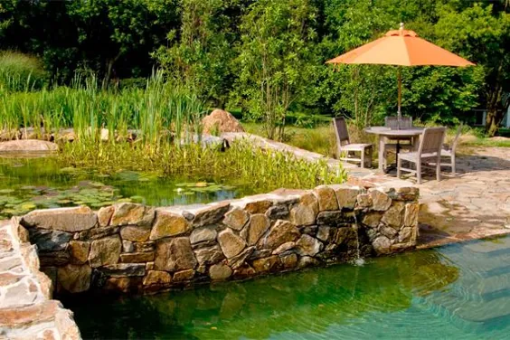 9 افسانه در مورد استخر شنای طبیعی و ارگانیک در باغ