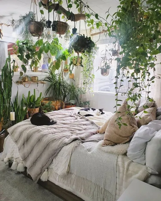 بانوی گیاهان |  فضای داخلی اتاق خواب