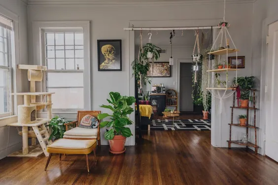 تور خانگی: یک آپارتمان رنگارنگ و پر از گیاه - Retro Den |  مبلمان قدیمی و کالاهای خانگی